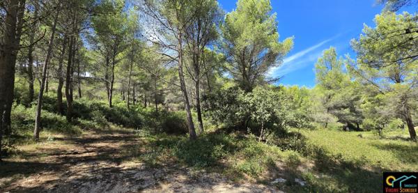 Sausset-les-Pins (13960) Maison 4 pieces 150m² avec piscine et garage