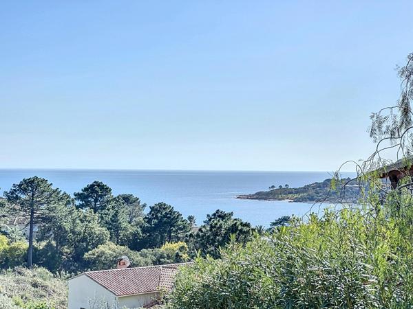 Maison à vendre  16 pièces - 418,49 m2 ZONZA - 201