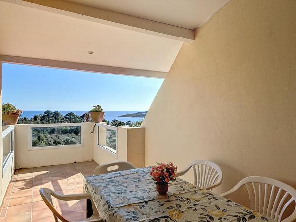 Maison à vendre  16 pièces - 418,49 m2 ZONZA - 201