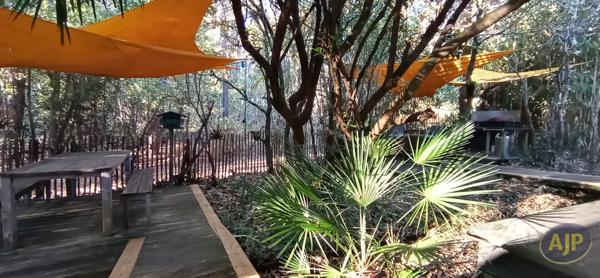 Vente maison Lege Cap Ferret : 890 000 € - AJP Immobilier Lège-Cap-Ferret