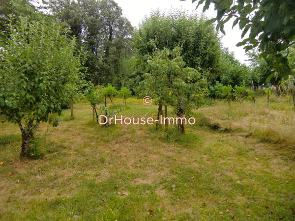 Terrain à vendre de 1 566 m²