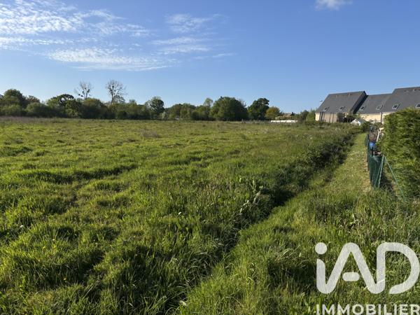 Terrain à vendre 555 m² Valognes