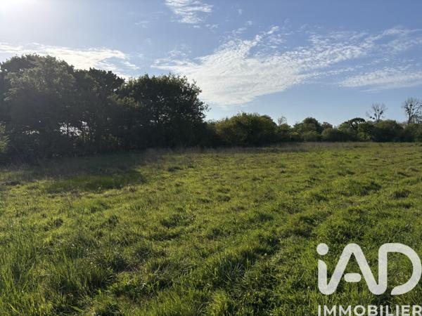 Terrain à vendre 555 m² Valognes