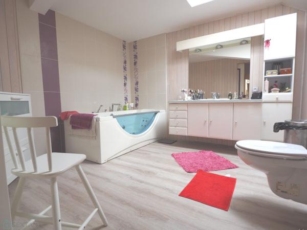 Grande maison cinq chambres, grand hangar et 9000 m2 de terrain