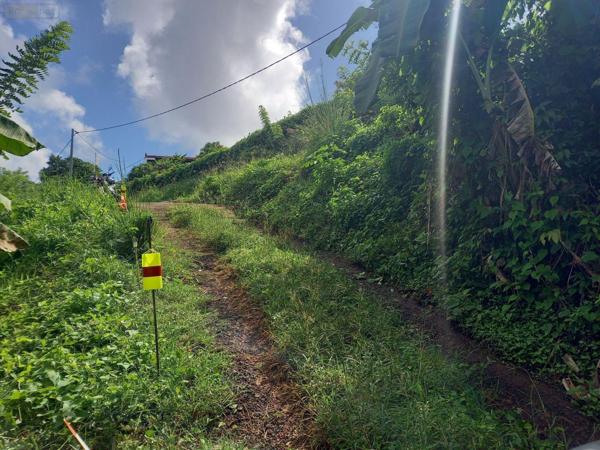 Maison à vendre à Le Robert en Martinique (97231), ref : 79   
Pontaléry 2