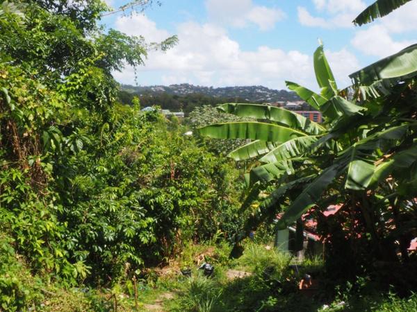 Maison à vendre à Le Robert en Martinique (97231), ref : 79   
Pontaléry 2