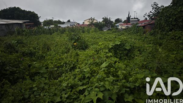 Terrain à vendre 450 m² Le Tampon