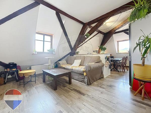 Appartement 2 chambre(s) à vendre - Colmar, Haut-Rhin - 68