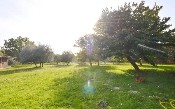 Maison à vendre    7 pièces • 284 m2 Saint-Cézaire-sur-Siagne