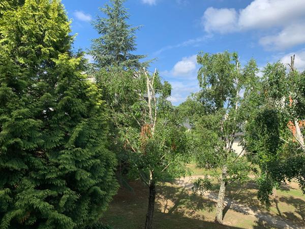 Appartement Orvault 2 pièces séchoir + cave + stationnement en sous-sol