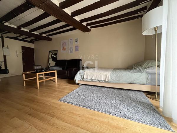 ANGERS HYPER CENTRE GRAND T1BIS