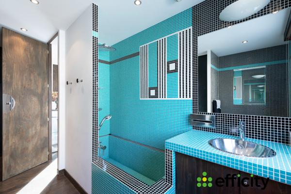 Maison 7 pièces - 358 m² Bien prestige