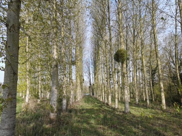 Terrain Etang Caulnes 01 ha 70 a