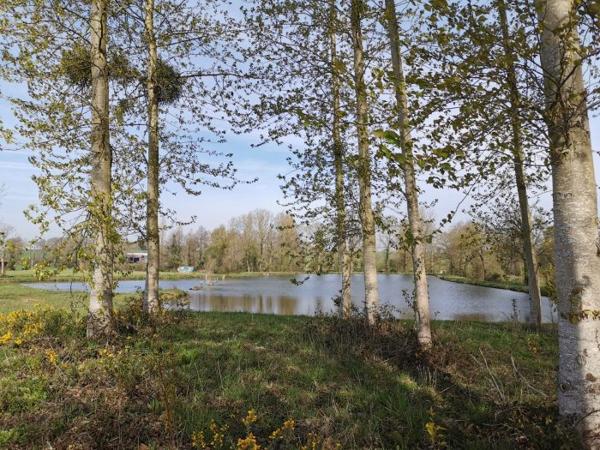 Terrain Etang Caulnes 01 ha 70 a