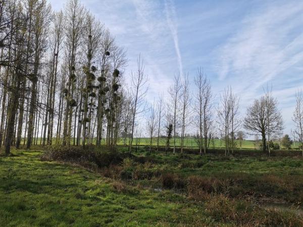 Terrain Etang Caulnes 01 ha 70 a