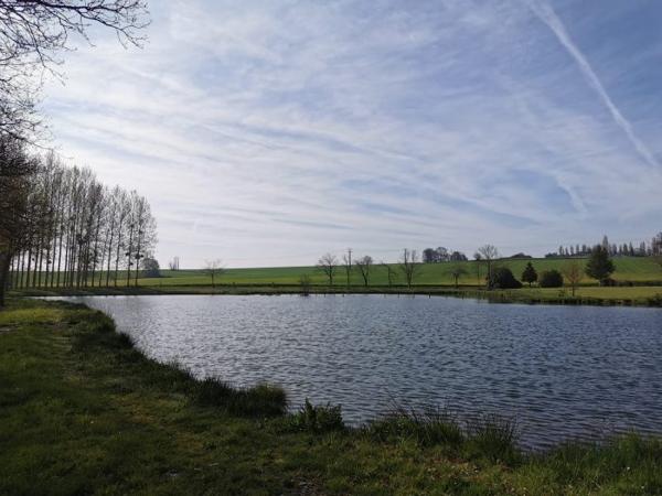 Terrain Etang Caulnes 01 ha 70 a