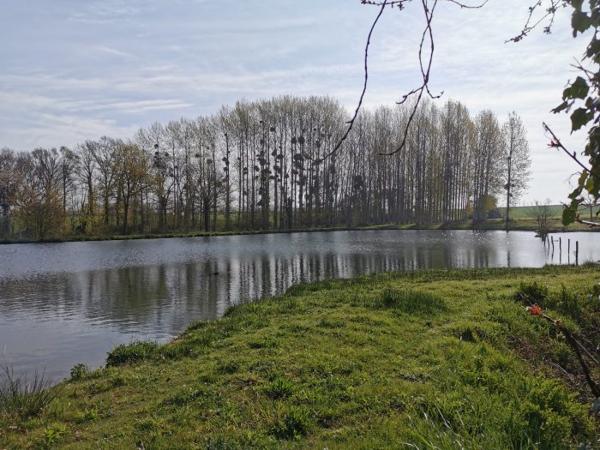 Terrain Etang Caulnes 01 ha 70 a