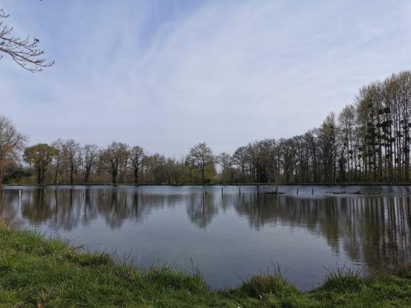 Terrain Etang Caulnes 01 ha 70 a