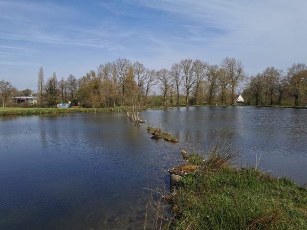 Terrain Etang Caulnes 01 ha 70 a