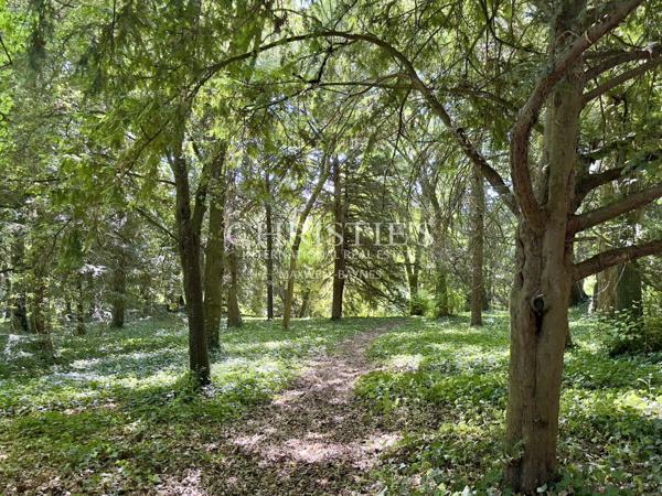 Château de caractère de 8 chambres avec potentiel d’aménagement, dans un environnement paisible près de Châtellerault