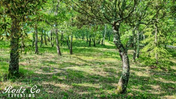 Saignon (84400) À vendre – Bien atypique avec vue imprenable, en pleine nature avec piscine