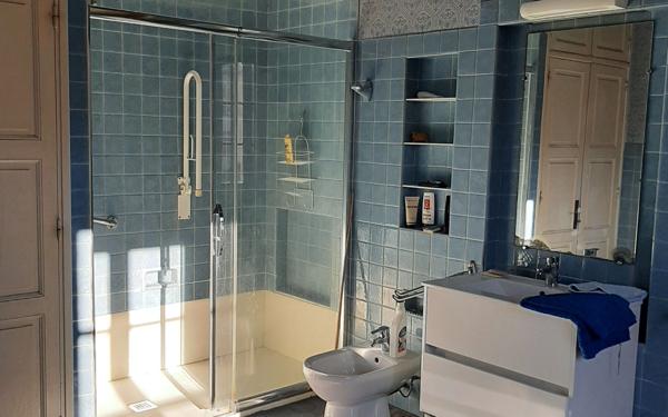 Maison à vendre    8 pièces • 334 m2 Aussillon