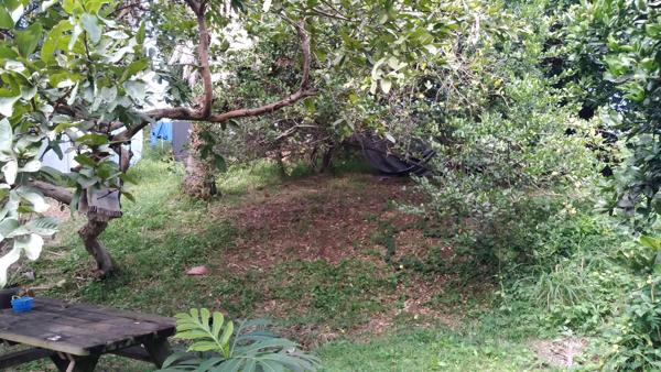 Maison F6 de 220 m² habitables avec 1 studio et 1 bungalow sur 1250 m² pour activité de location saisonnière