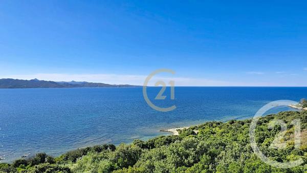 Appartement à vendre  4 pièces - 67,65 m 2   PATRIMONIO  - 202
