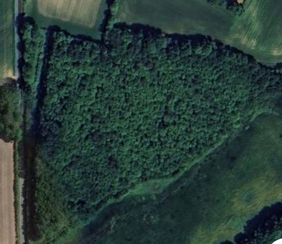 Terrain à vendre ORSENNES (36)