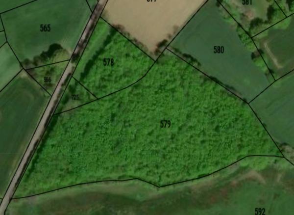 Terrain à vendre ORSENNES (36)