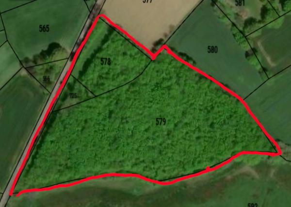 Terrain à vendre ORSENNES (36)