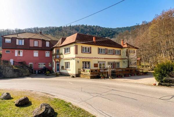 Vente Maison 8 pièces 240 m2 à Thannenkirch