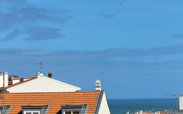 Appartement à vendre    2 pièces • 45 m2 Biarritz