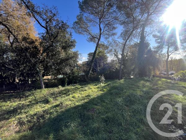 Terrain à vendre  1584 m2 ROQUEFORT LES PINS - 06