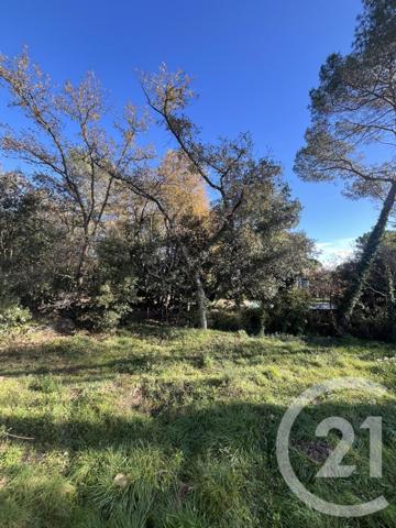 Terrain à vendre  1584 m2 ROQUEFORT LES PINS - 06