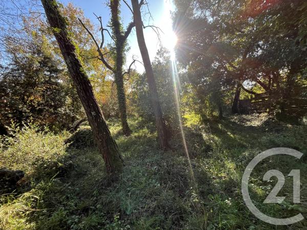 Terrain à vendre  1584 m2 ROQUEFORT LES PINS - 06