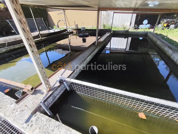 Vente
                Terrain9633 m² - MEZIDON VALLEE D AUGE (14270)