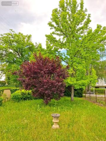 Achat - Maison Peschadoires 63920 8 pièces 123 m 2 466 m 2