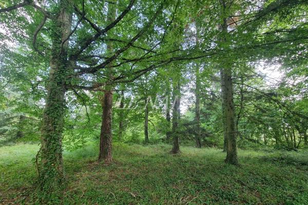 Belle propriété dotée d'un fort potentiel de prestation à 20km du Mans