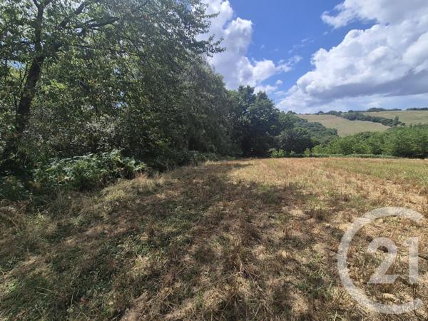 Terrain à vendre  50595 m2 SALIES DE BEARN - 64