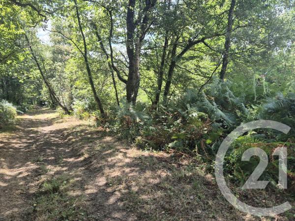 Terrain à vendre  50595 m2 SALIES DE BEARN - 64