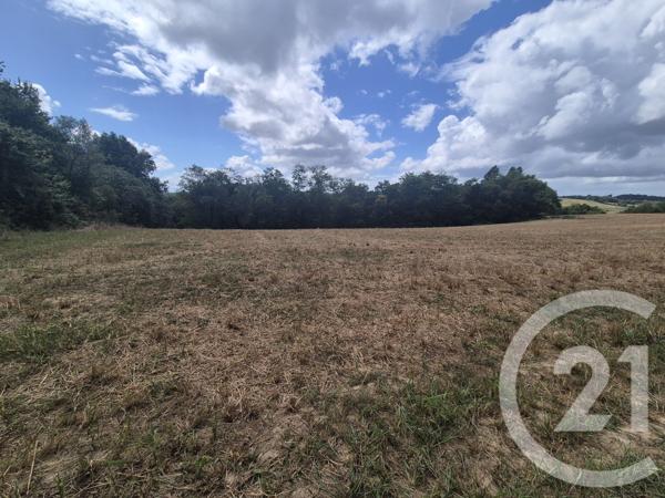 Terrain à vendre  50595 m2 SALIES DE BEARN - 64