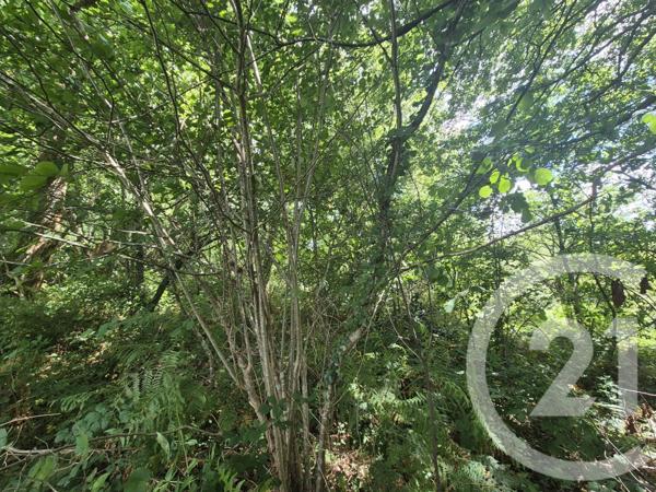 Terrain à vendre  50595 m2 SALIES DE BEARN - 64