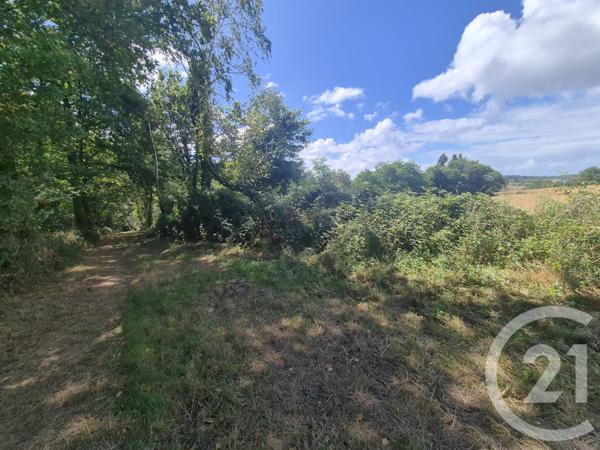 Terrain à vendre  50595 m2 SALIES DE BEARN - 64
