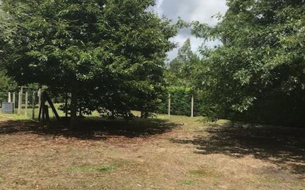 Maison à vendre    4 pièces •  Saint-Vincent-de-Tyrosse