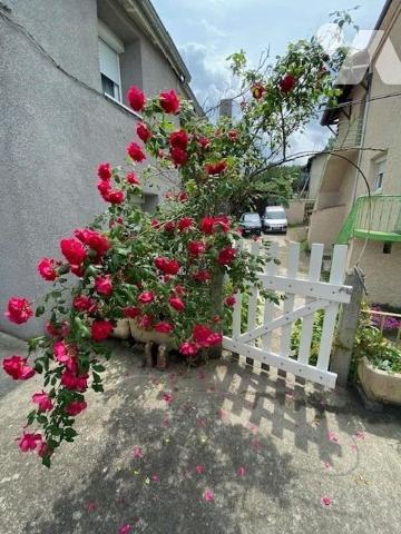 En exclusivité, maison de ville mitoyenne avec grande terrasse de 50m² environ et dépendances, datan