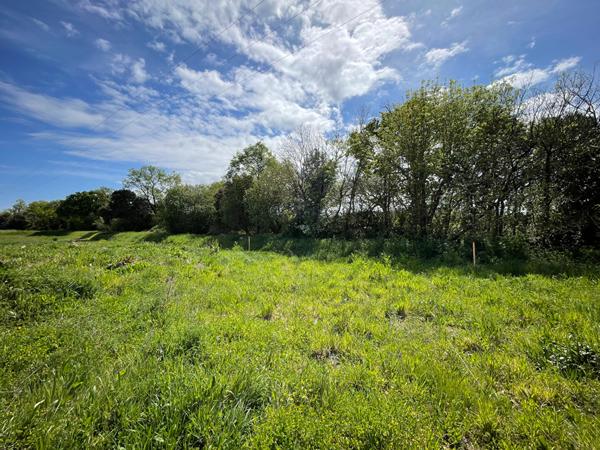Terrain Avrille 577 m2