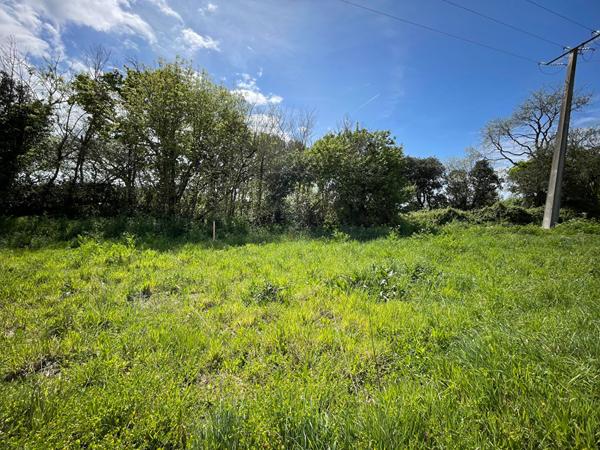 Terrain Avrille 577 m2