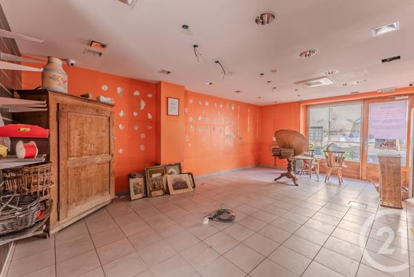 Maison à vendre  18 pièces - 447,55 m2 ABONDANCE - 74