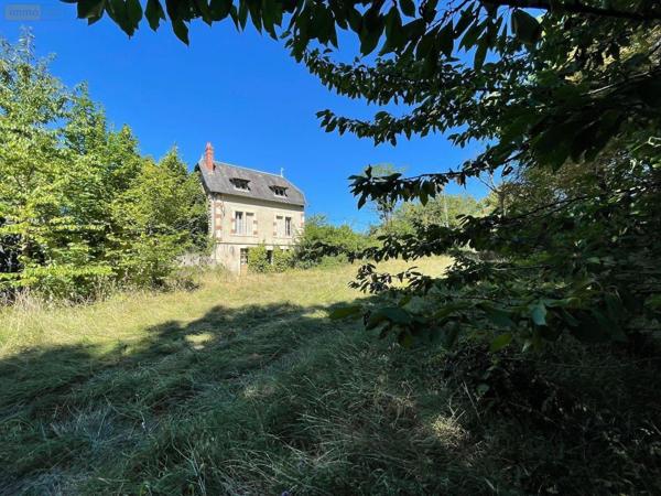 Maison à vendre à Pellevoisin dans l'Indre (36180), ref : 016/336